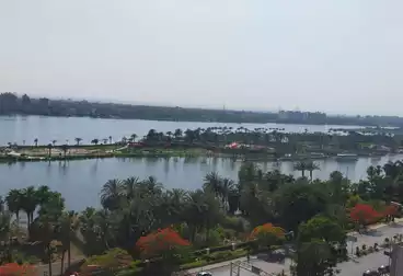 إداري للإيجار - 15 غرف - بالدور 12
