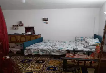 شقق للبيع - 3 غرف - بالدور 3