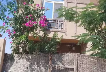 توين هاوس للبيع - 5 غرف