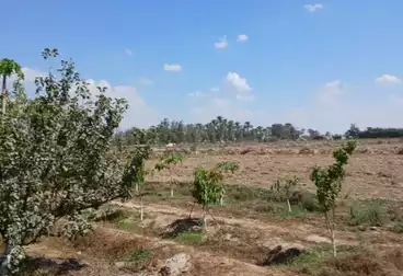 Farm For sale