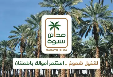 عقارات للبيع