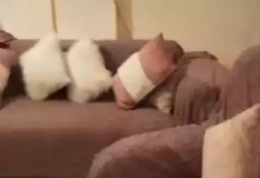 Apartments For sale - 2 rooms - floor 3