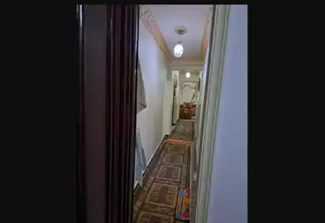 undefined undefined - 3 rooms - floor 1