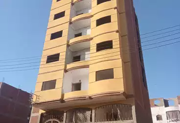 منزل / بيت للبيع - 12 غرف