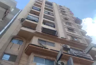 شقق للبيع - 2 غرف - بالدور 1