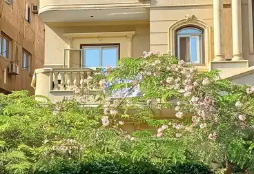 شقق للبيع - 3 غرف - بالدور 1