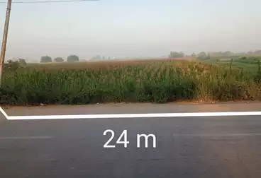 أرض زراعية للبيع