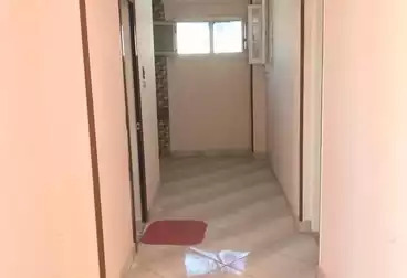 Roof For rent - 2 rooms - floor 7