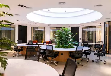 Offices For rent - 5 rooms - floor 5
