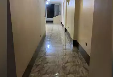 Apartments For rent - 3 rooms - floor 6