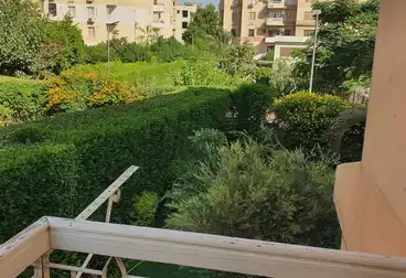 شقق للبيع - 3 غرف - بالدور 1