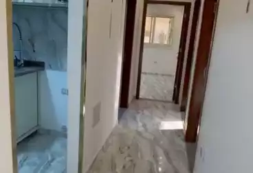 عقارات للإيجار - 3 غرف - بالدور 9