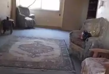 undefined undefined - 3 rooms - floor 13