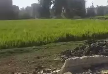 أراضي للبيع