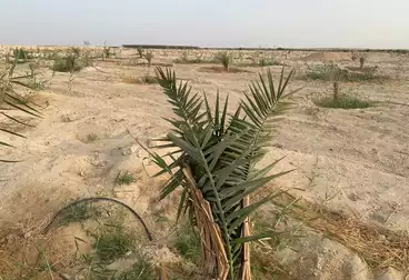 أرض زراعية للبيع