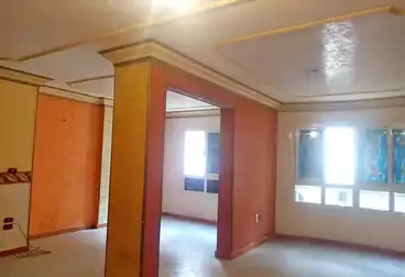 undefined undefined - 3 rooms - floor 3