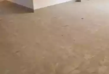 Apartments For rent - 3 rooms - floor 3