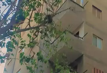 Apartments For sale - 2 rooms - floor 4