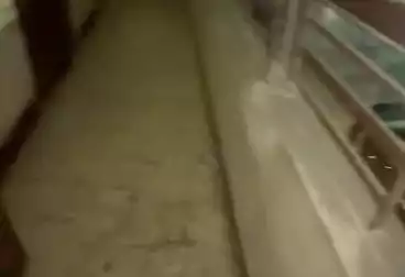 Apartments For sale - 3 rooms - floor 1