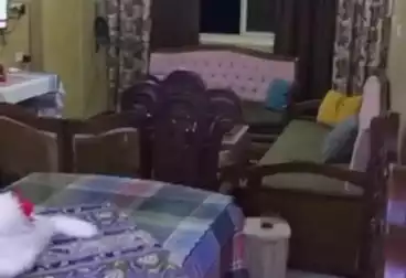 undefined undefined - 3 rooms - floor 7