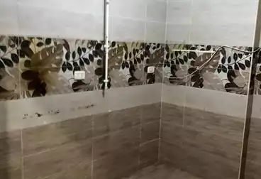 Apartments For rent - 3 rooms - floor 2