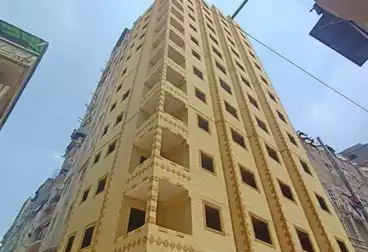 undefined undefined - 3 rooms - floor 1