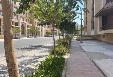 شقق للإيجار - 3 غرف - بالدور 0
