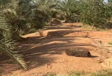 أراضي للبيع