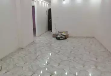 شقق للإيجار - 3 غرف - بالدور 0