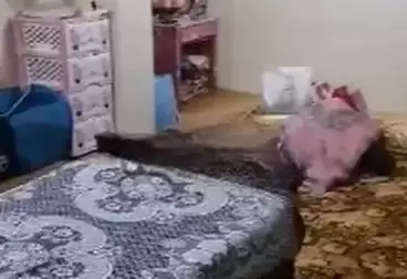 Properties For rent - 3 rooms - floor 5
