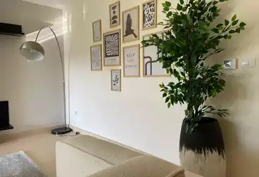 Apartments For rent - 3 rooms - floor 2
