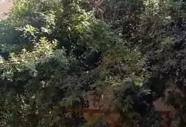 House / Home For sale - 3 rooms