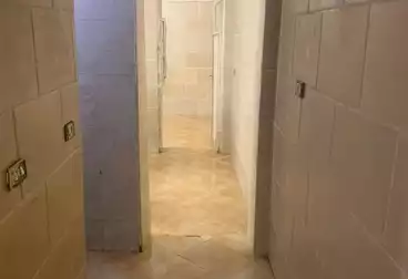 شقق للإيجار - 2 غرف - بالدور 0