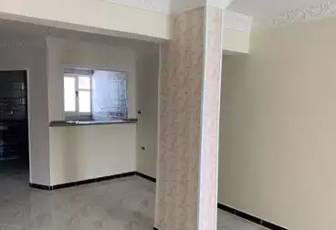 شقق للإيجار - 3 غرف - بالدور 6