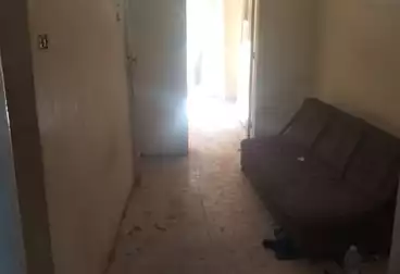 Apartments For rent - 2 rooms - floor 3