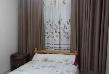 غرف مشاركة للإيجار - بالدور 0
