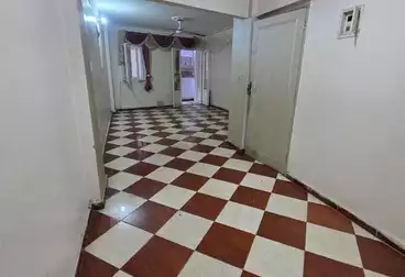 شقق للبيع - 2 غرف - بالدور 1