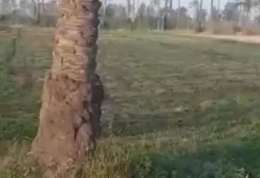Farm For sale