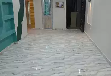شقق للإيجار - 3 غرف - بالدور 11