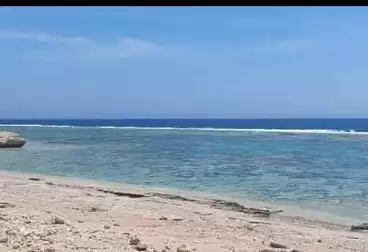 أراضي للبيع