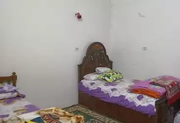 شقق مفروشة للإيجار - 2 غرف - بالدور 2