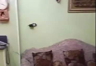 Apartments For sale - 2 rooms - floor 2