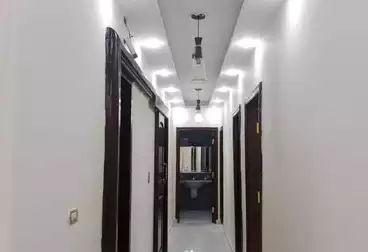 عقارات للإيجار - 3 غرف - بالدور 10