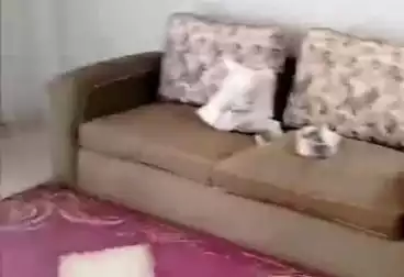 undefined undefined - 2 rooms