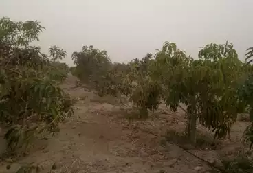 أرض زراعية للبيع