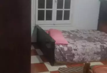 شقق مفروشة للإيجار - 2 غرف - بالدور 13