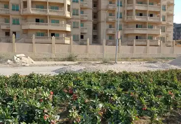 شقق للبيع - 3 غرف - بالدور 2