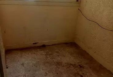 undefined undefined - 3 rooms - floor 13