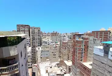 شقق للبيع - 3 غرف - بالدور 16