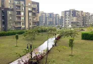 Properties For rent - 3 rooms - floor 5